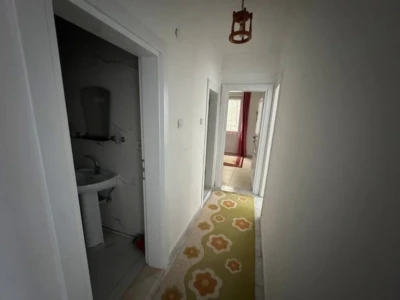 Evime ev arkadaşı arıyorum sakin sessiz ve titiz