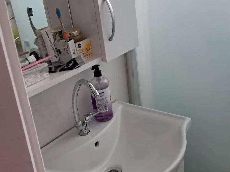 Ev arkadaşı kadın
