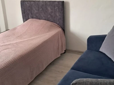 Ev arkadaşı kadın