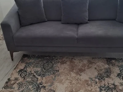 Ev arkadaşı kadın